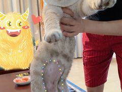 -联合动物医院(光谷诊疗中心)