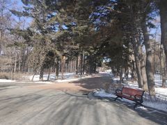 -长春市南湖公园