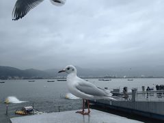 -海埂大坝