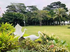 -福田红树林生态公园