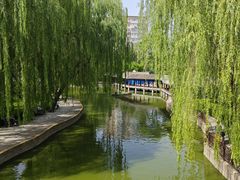 -团结湖公园