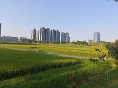 -光明小镇欢乐田园