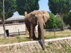 -石家庄市动物园