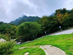 -秦岭风景区