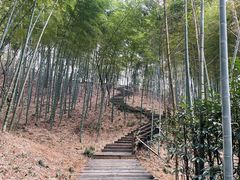 -天目湖山水园
