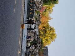 -西安曲江寒窑遗址公园