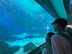 -海合安成都极地海洋公园