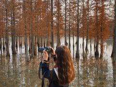 -白鹭湾湿地公园