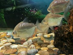 -秦皇岛新澳海底世界