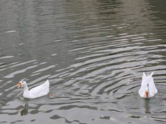 -迎泽公园