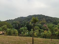 -云溪植物园