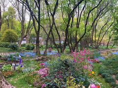 -上海共青森林公园