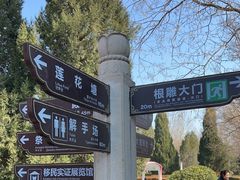 -大槐树寻根祭祖园