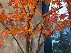 -唐宫足道·SPA·住宿24H会所(木渎店)