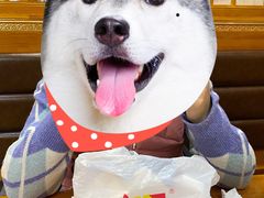 -永顺炸鸡(北京总店)