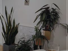 -隹木咖啡馆(宝龙广场店)