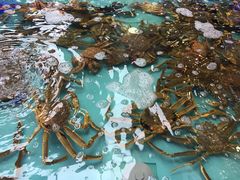 -盒马鲜生(宝地店)