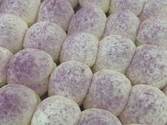 -ZOZO's昌左左精致甜品设计(新北店)
