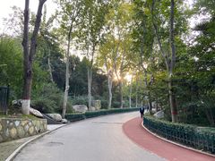 -西安市长乐公园