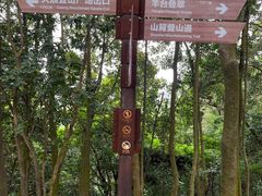 -阳台山森林公园