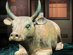 -宁夏博物馆