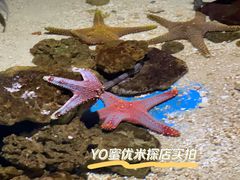 -多彩贵州城极地海洋世界