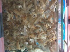 -渔中舟海鲜大排档(普陀沈家门店)
