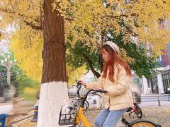 -四川大学(华西校区)