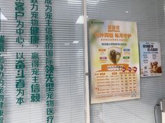 -瑞派福兴宠物医院犬猫全科·骨科·中西医结合(河东店)