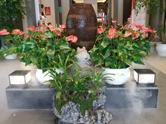 -梅花香里大酒店(郁金香路店)