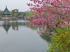 -无锡蠡湖国家湿地公园-蠡园