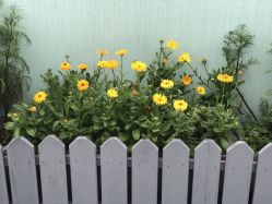 -DOS HOP潮上舞蹈