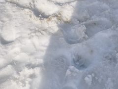 -华彬猛犸滑雪场
