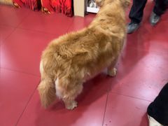 -和它·交个朋友·狗咖猫咖(爱琴海店)