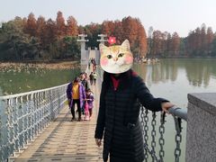 -东湖落雁景区