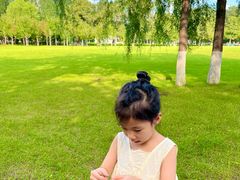 -哈尔滨文化公园