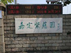 -嘉定紫藤园
