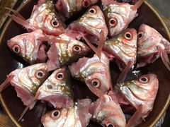 -章记正宗南岗鱼蛋火锅