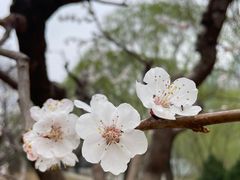 -元大都城垣遗址公园