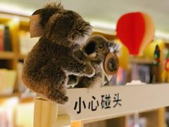 -思南书局(复兴中路店)