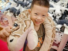 -宜家家居(哈尔滨商场店)