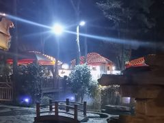 -二荆条·蜀鲜汇城市森林火锅