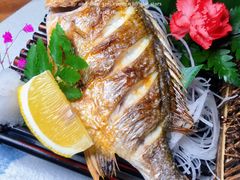 -森味薪火烧•烧鸟居酒屋•日本料理(望京店)
