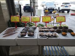 -蚝专家(北滘店)