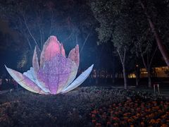 -石榴庄公园