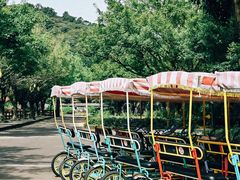 -李小龙乐园(顺德均安店)