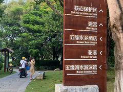 -五缘湾湿地公园