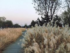 -汉长安城未央宫国家考古遗址公园