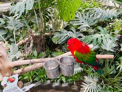 -南宫五洲植物乐园