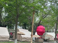 -长白岛森林公园